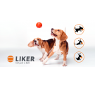 LIKER 7 - DOG TOY