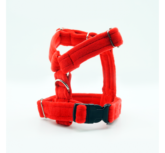 Adjustable harness CLICK 2cm