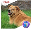 Dog training device PULLER maxi (komplet 1szt). Ø 28cm